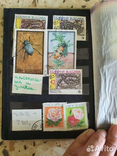 Марки почтовые старые