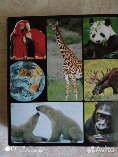 Энциклопедия животный мир планеты