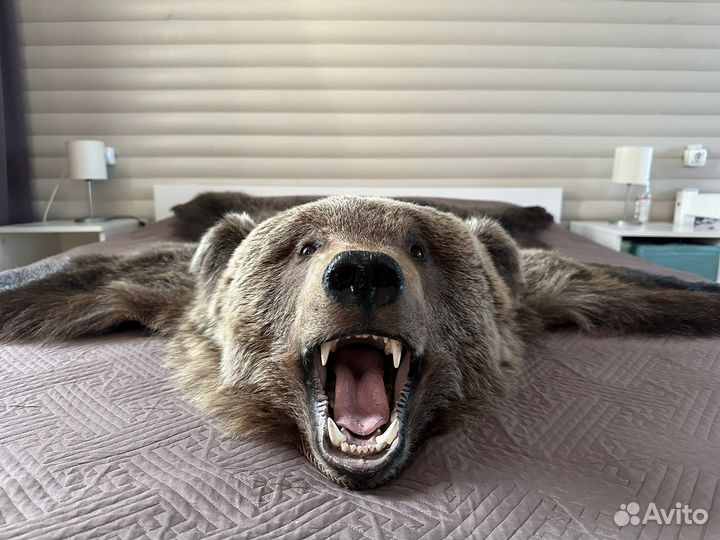 Имитация шкуры медведя