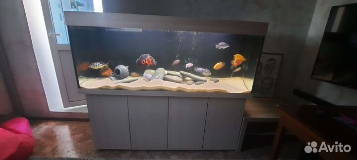 Аквариум