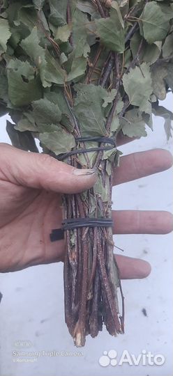 Веники для бани В комплекте