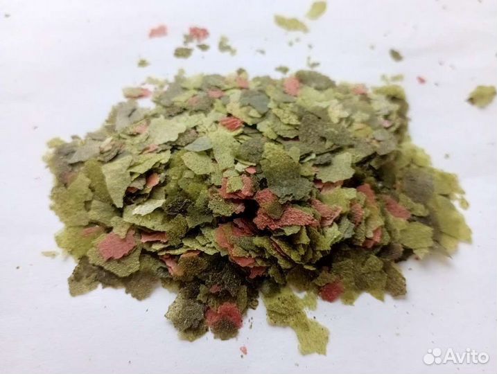 Малавийские цихлиды