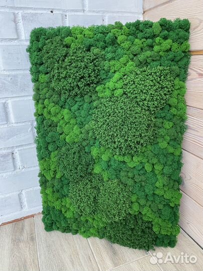 Панели из стабилизированного мха