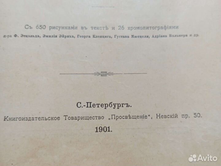 Книга антикварная медицина