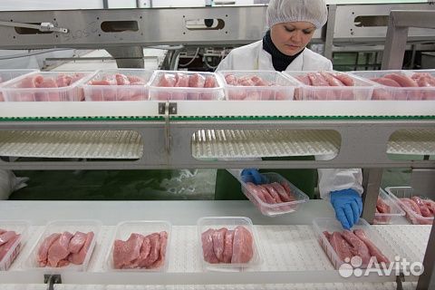 Рабочий на линии/Вахта/Питание и проживание