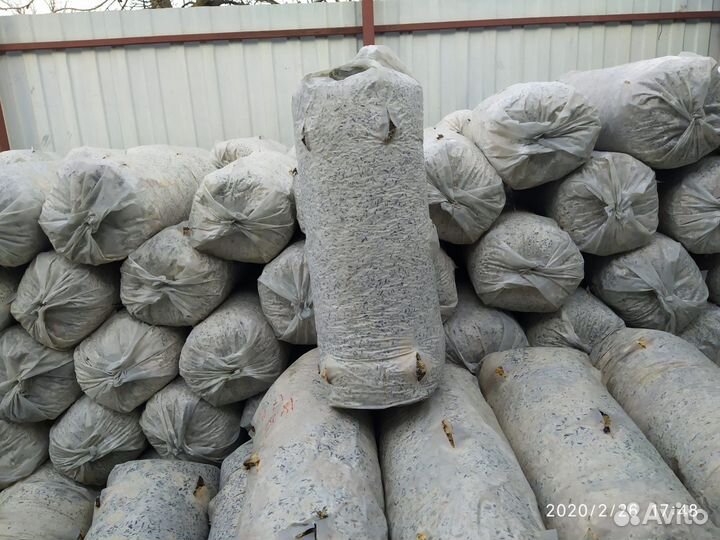 Грибные блоки вешенка