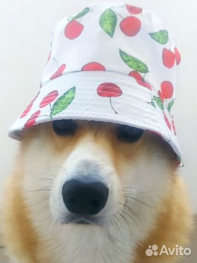 Шляпа панама женская