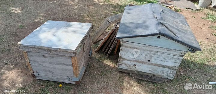 Пчелиные ульи