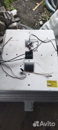 Инкубатор для яиц автоматический несушка