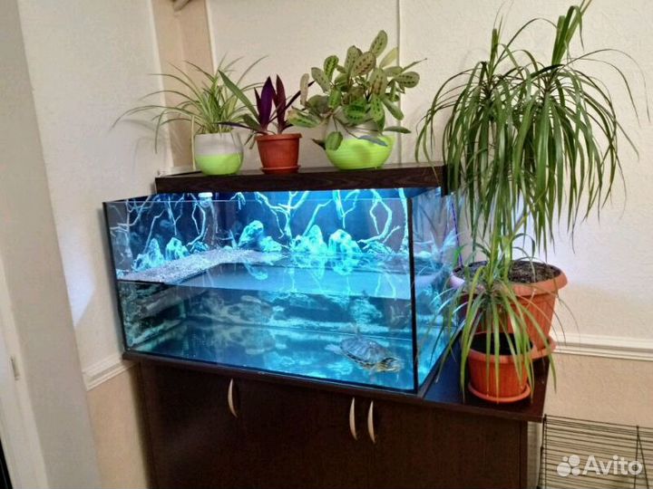 Аквариумы изготовление