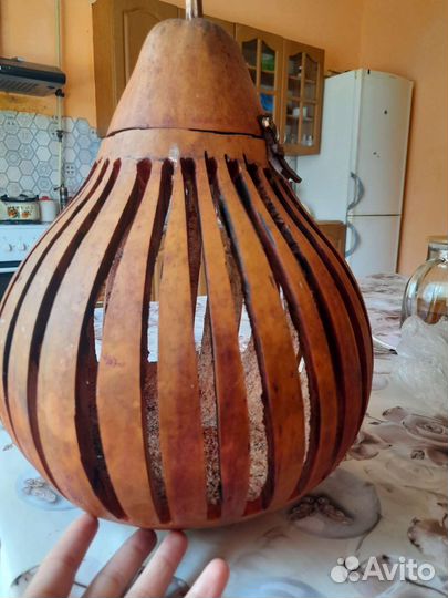 Тыквенные клетки для перепёлок