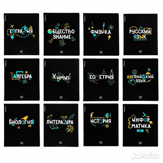 Комплект предметных тетрадей 48 листов, 12 штук, E