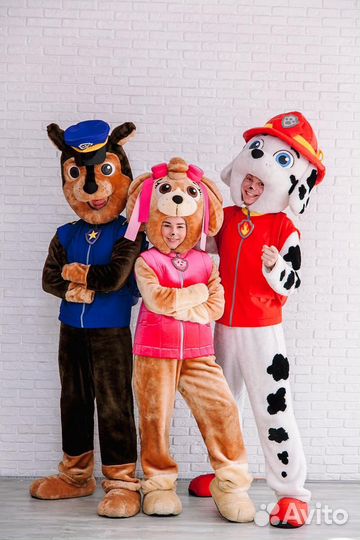 Аниматоры на день рождения