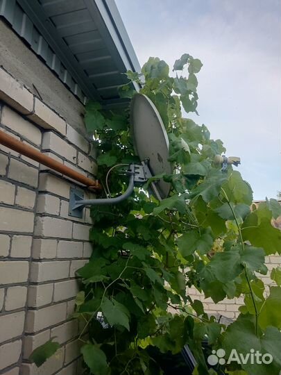 Тарелка Триколор тв