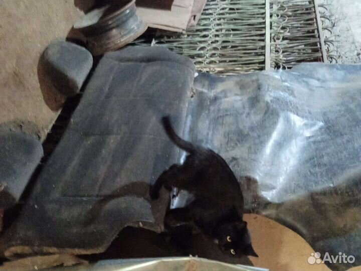 Автомобильные коврики резиновые