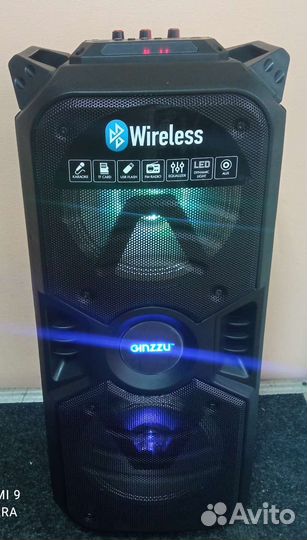 Портативная колонка Ginzzu GM-207