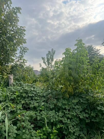 Участок 5,33 га (ИЖС)