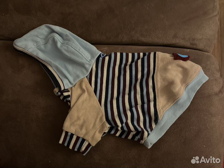 Одежда на маленькую собачку