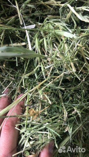 Сено и Опилки в тюках