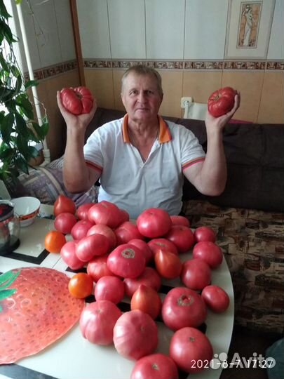 Разнорабочий с ежедневной оплатой