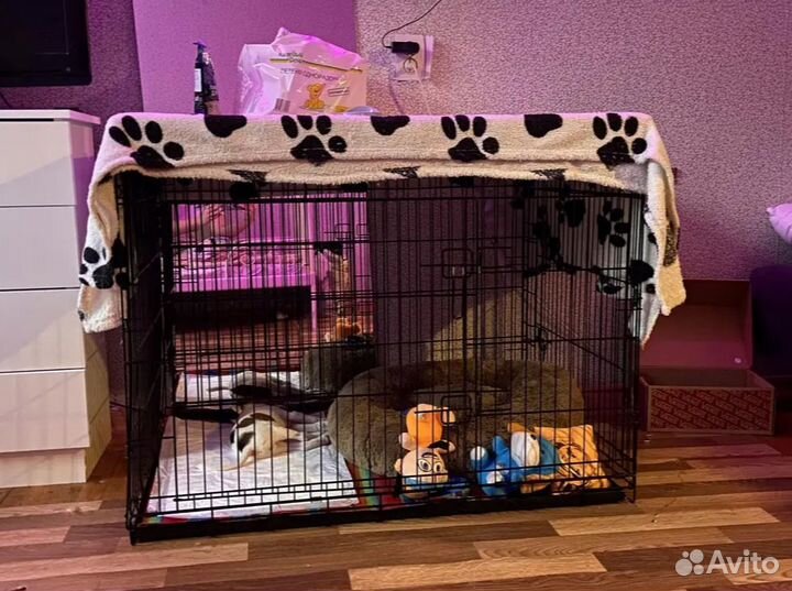 Клетка для собак, антивандальная + поддон