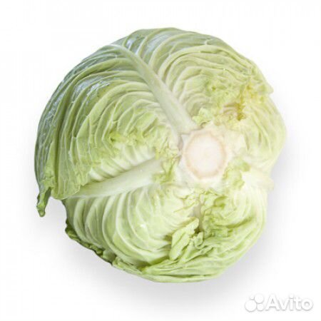 Семена Капусты 