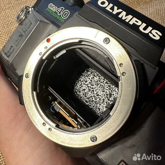 Olympus OM40 Program