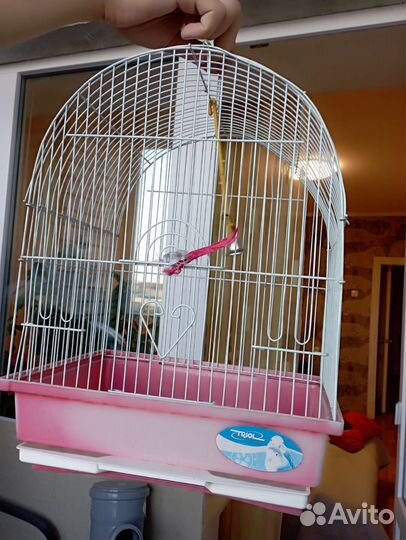 Клетка для птиц