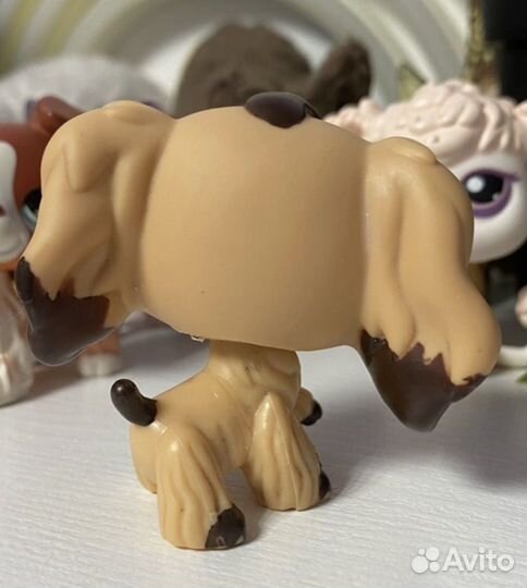 Littlest Pet Shop кокер