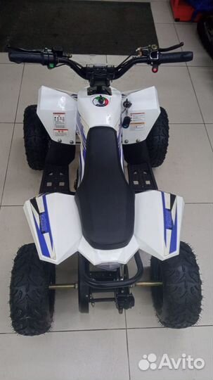 Детский квадроцикл Motax gekkon 1300W витрина