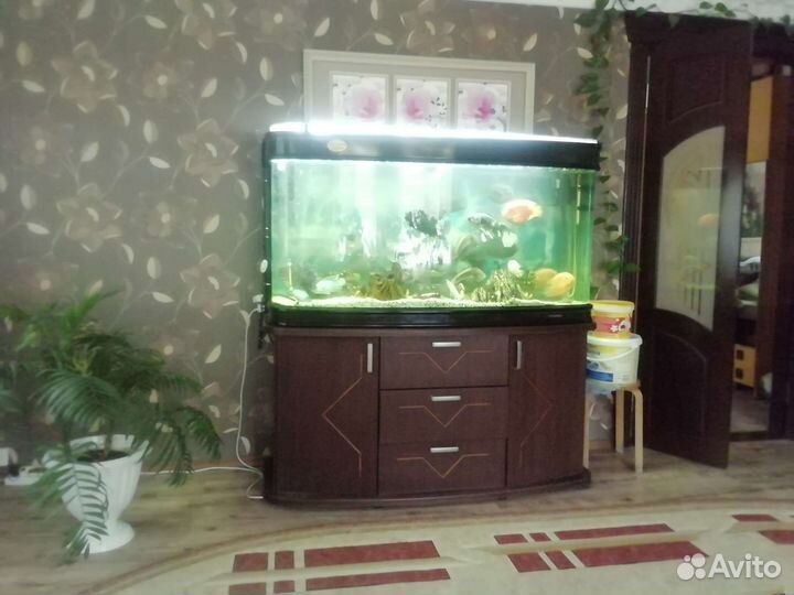 Аквариум