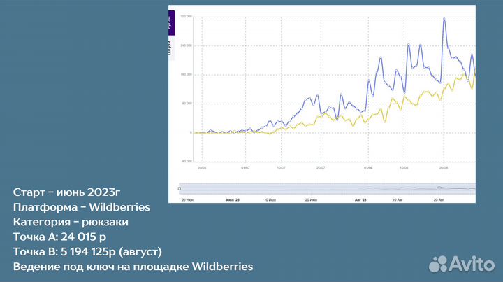 Менеджер маркетплейсов Ozon Wildberries яндекс сео