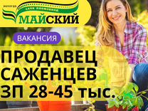 Продавец саженцев