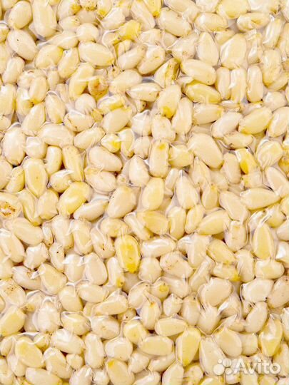 Орех кедровый алтайский оптом