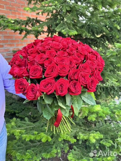 Букет красивых роз цветы 25 35 51 101