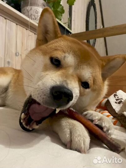 Опт лакомство. ту и гост качество