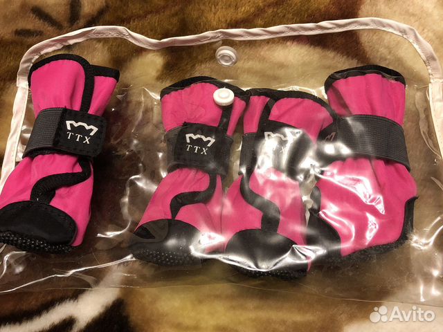 Ботинки для собак