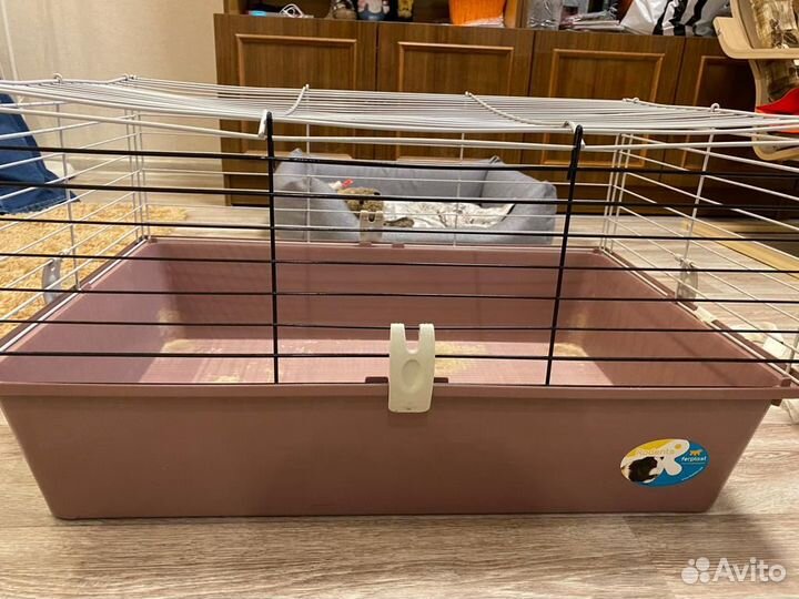 Клетка для грызунов ferplast