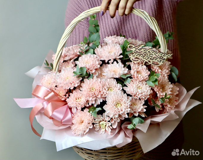 Хризантема кустовая