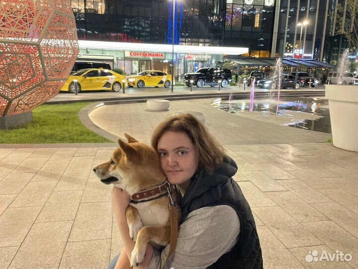 Кинолог/догситтер/выгульщик/ноузворк