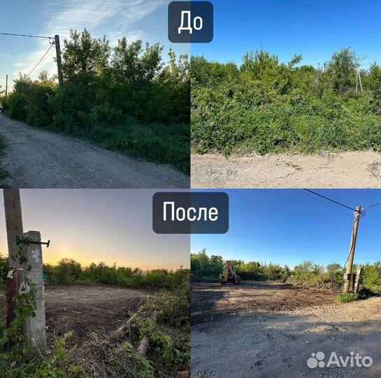 Расчистка участка от деревьев и кустарников