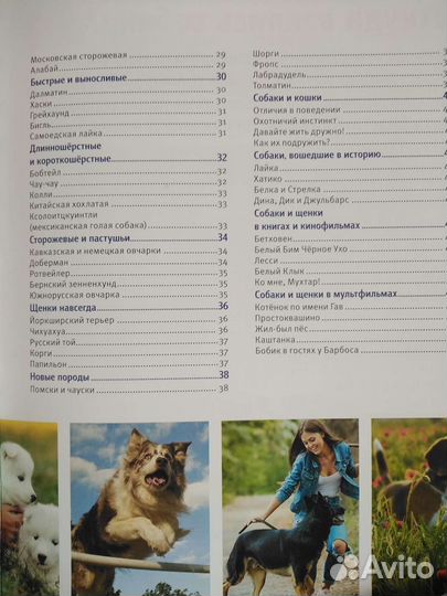 Энциклопедия для детей Собаки