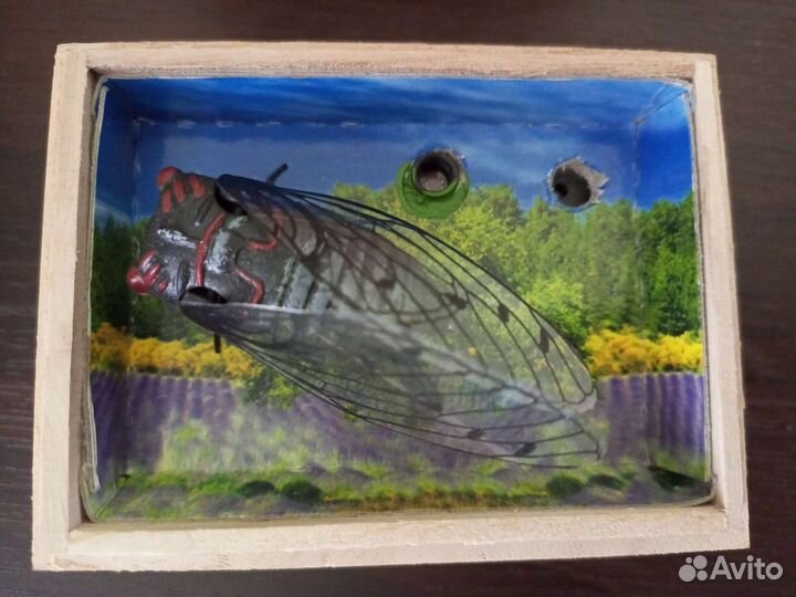 Игрушка сувенир цикада поющая