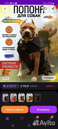 Попона для собак