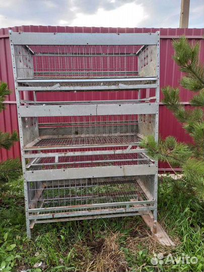 Клетки для кур бройлеров