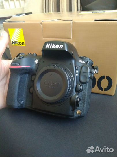 D800 Nikon body