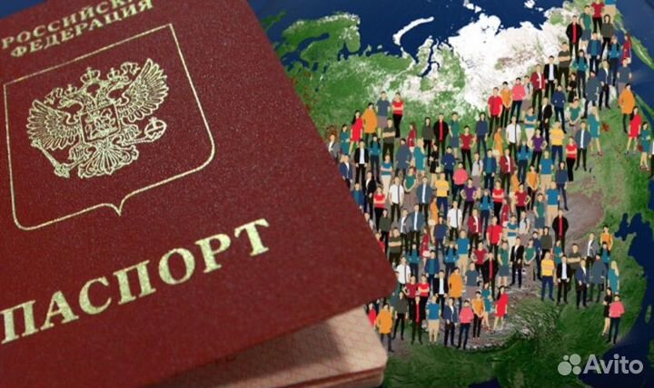 Миграционные услуги