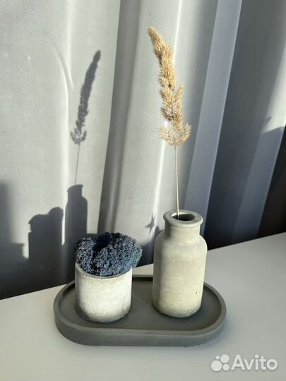 Стабилизированный мох