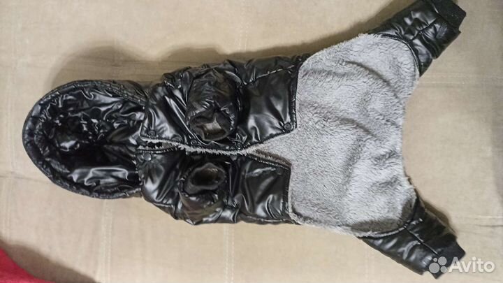 Комбинезон для собаки