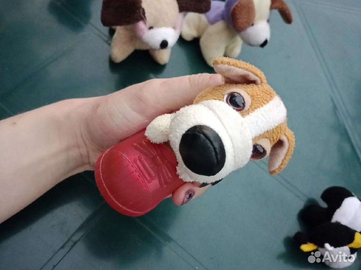 Собака в ботинке из Макдональдса